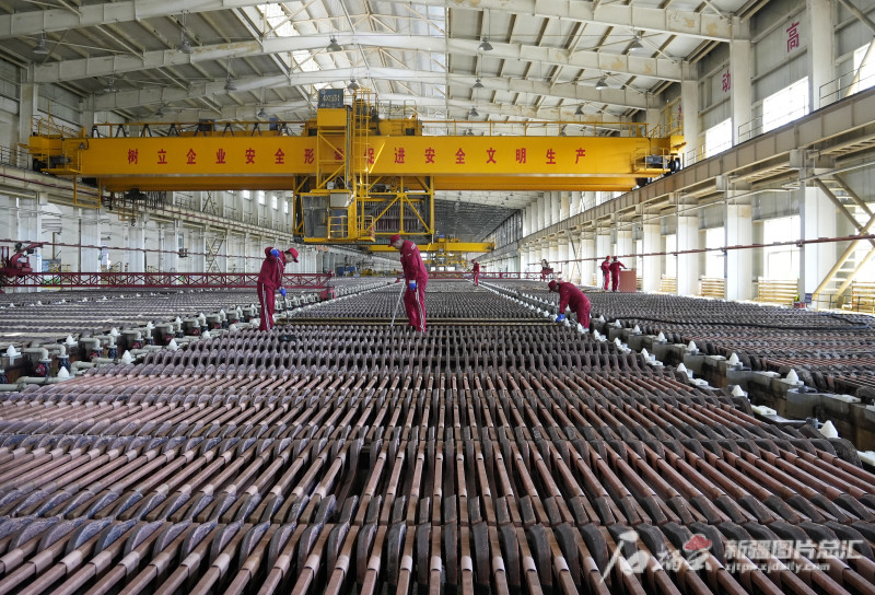 新疆五鑫銅業(yè)上半年產(chǎn)量同比增長20.48%_騰訊新聞